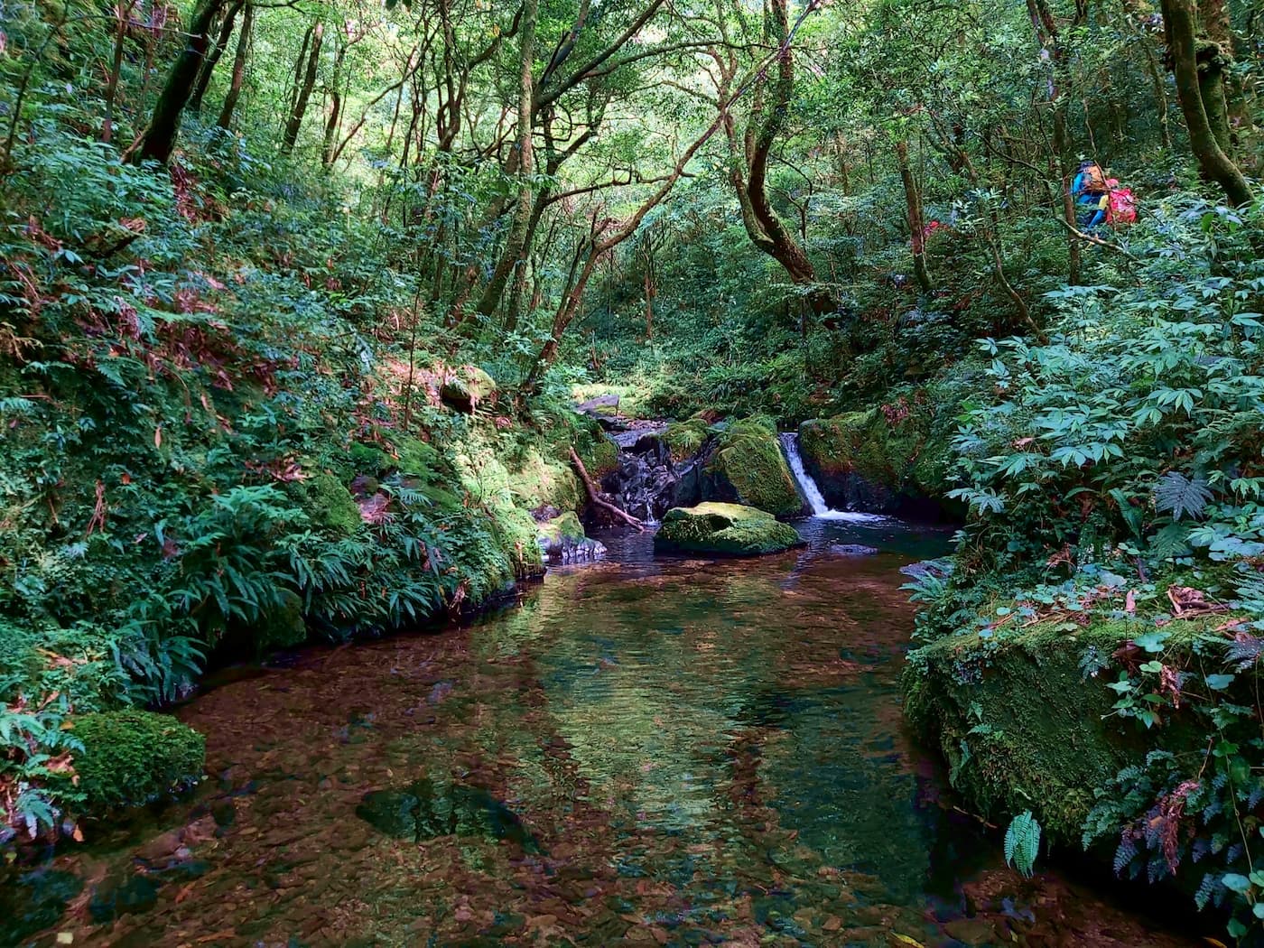 Beautiful summit views and relaxing river hike